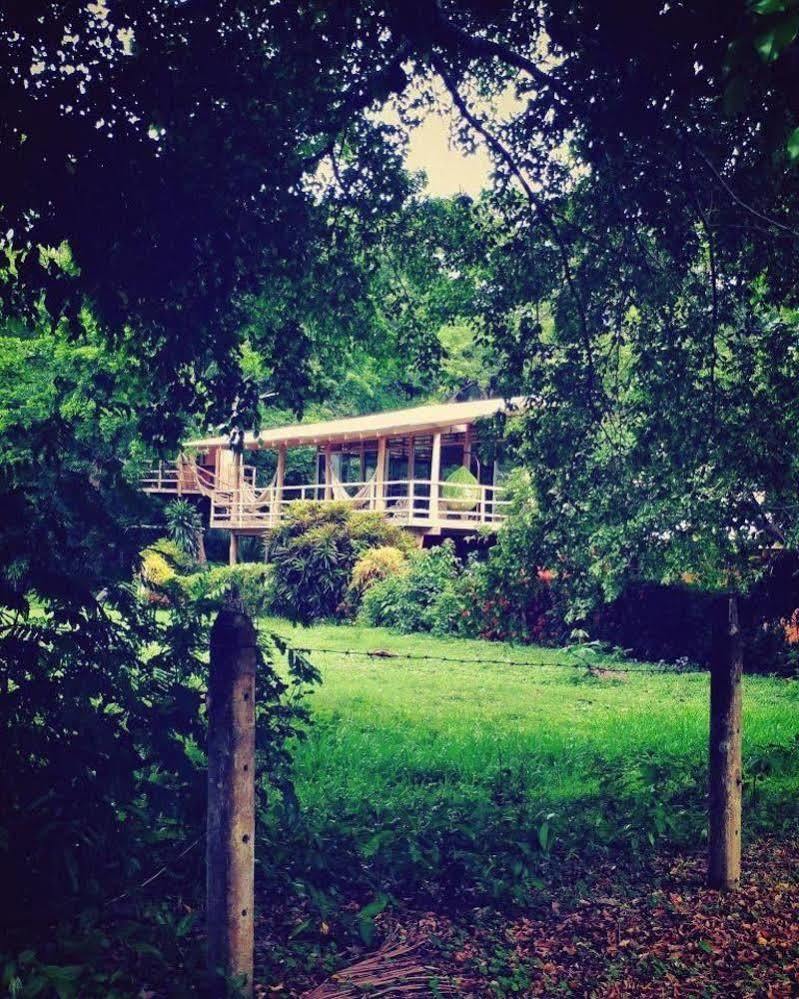 Blue Zone Retreat Lodge Nicoya