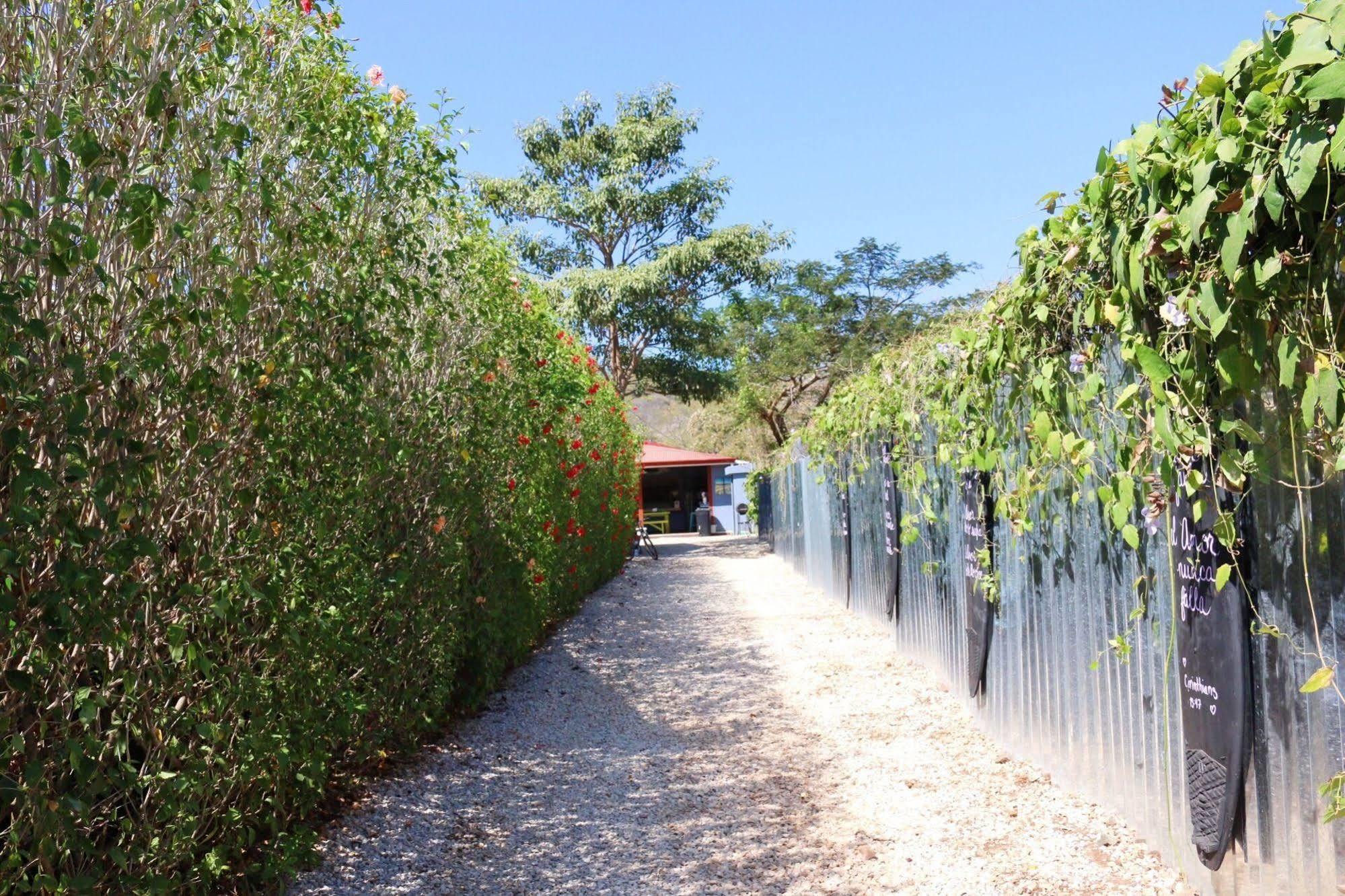 Bed & Breakfast Sirena Serena B&B And Retreat