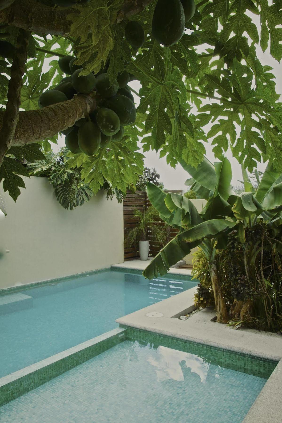 Hotel Nautilus Surf & Yoga Santa Teresa Playa Santa Teresa (Puntarenas)