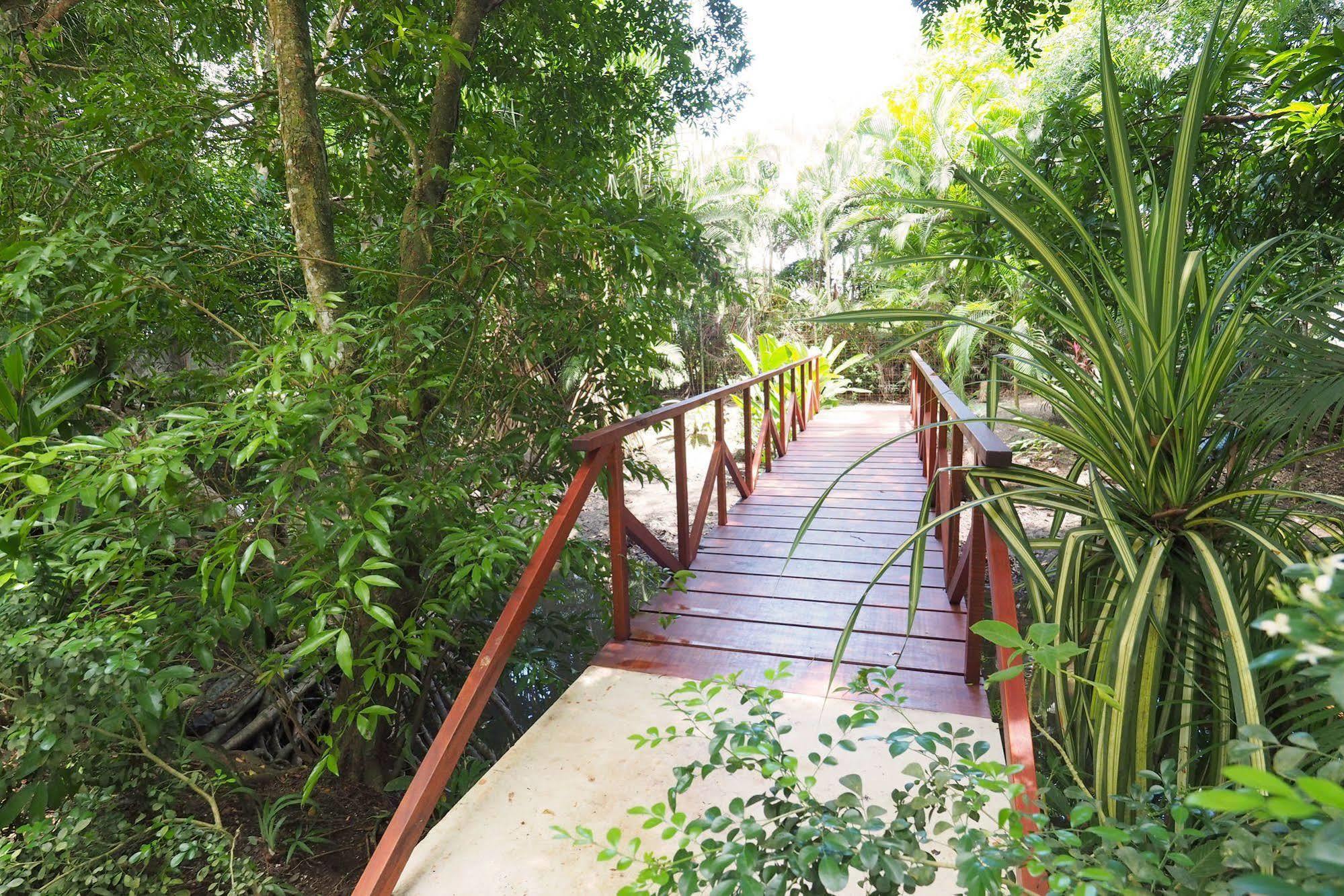 Luxury Terrace, Access - M10 Apartment Jaco