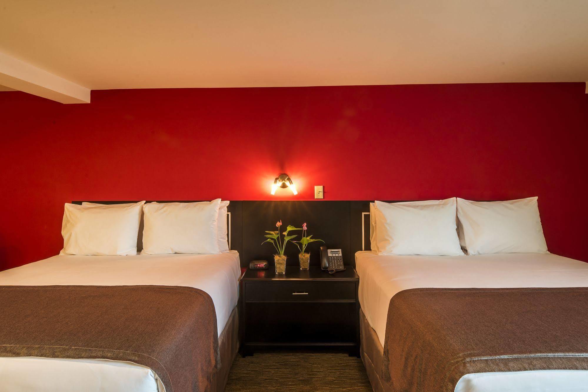 Hotel Exe Center San Jose (San Jose)