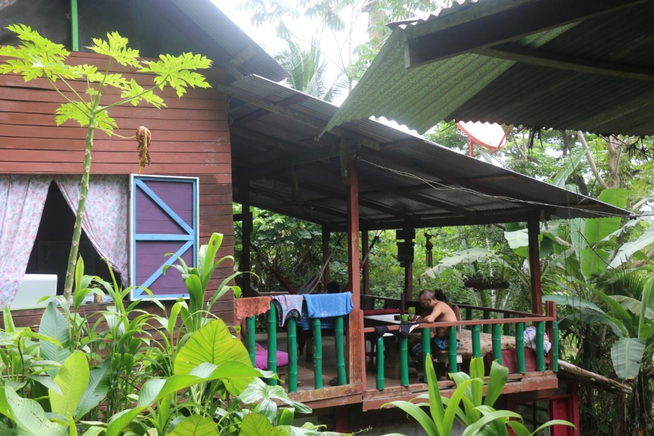 Blue Butterfly Hostel Puerto Viejo de Talamanca
