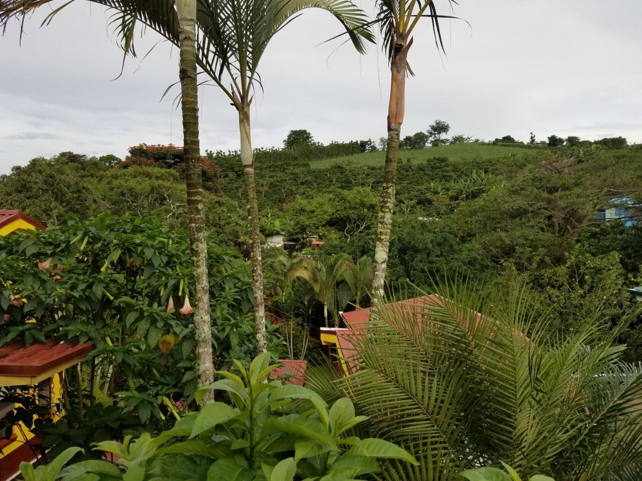 La Terraza Bed & Breakfast