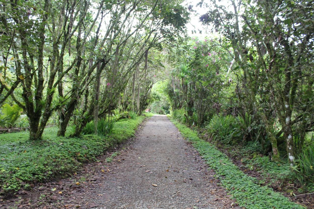 Hotel Talamanca Nature Reserve 5*