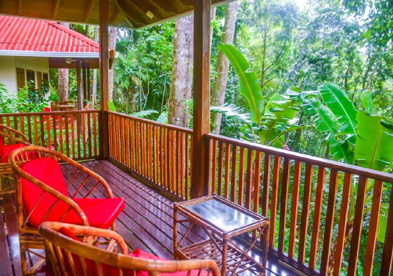 Villa En El Bosque