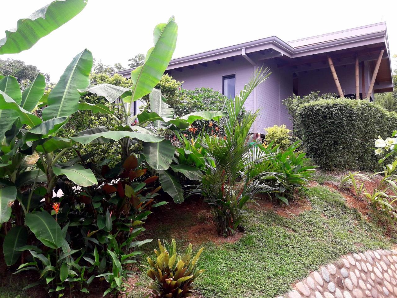Bed & Breakfast Eden Tica Uvita
