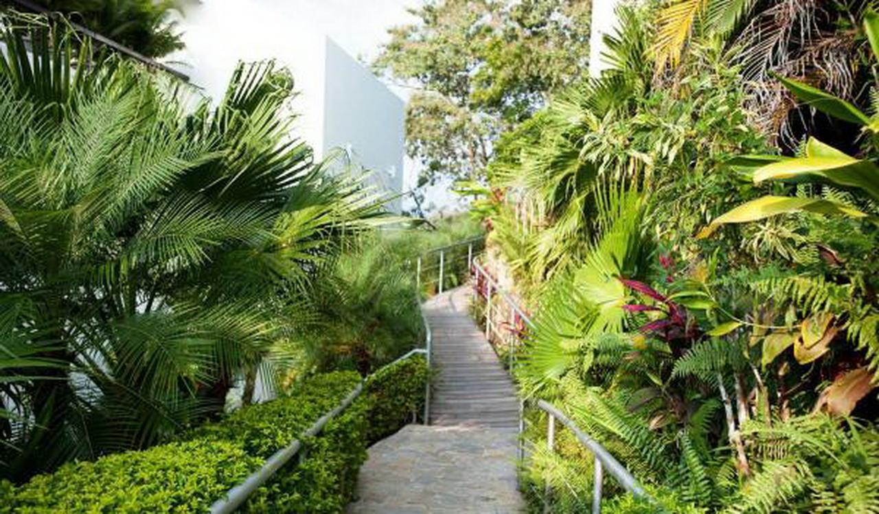 Hotel Gaia & Reserve- Adults Only Manuel Antonio