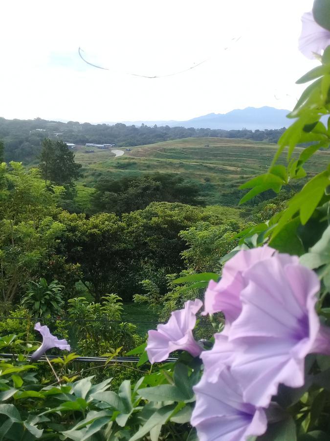 Bed & Breakfast Rancha Azul