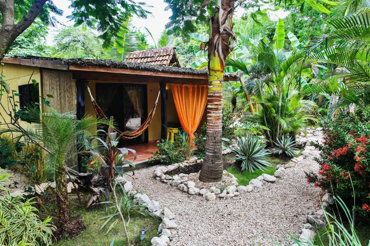 El Oasis * Playa Grande