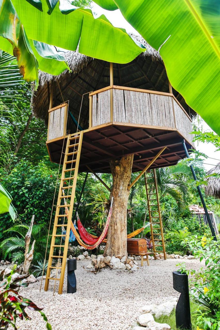 El Oasis * Playa Grande