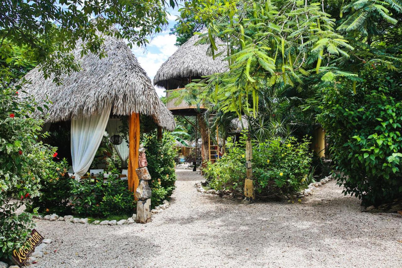 El Oasis *