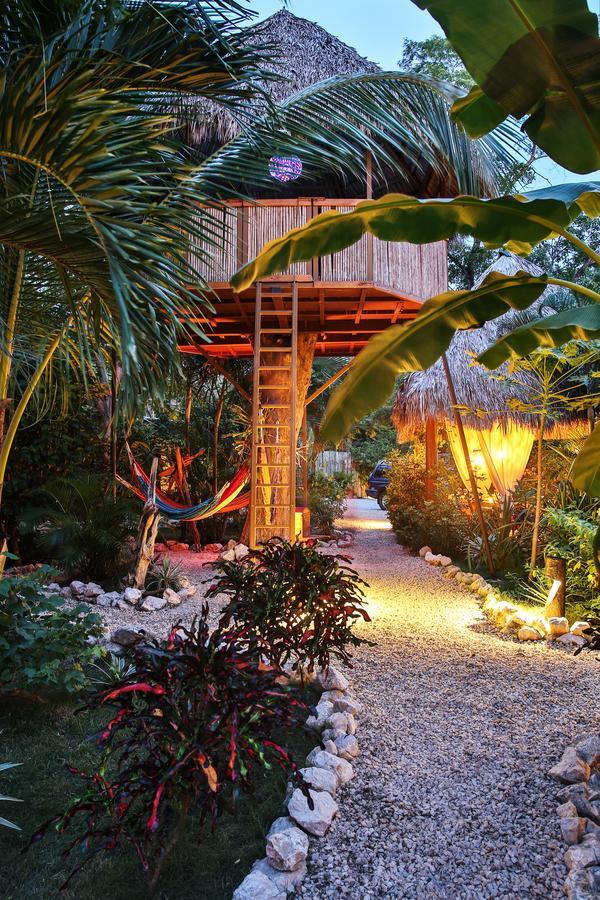 Lodge El Oasis *