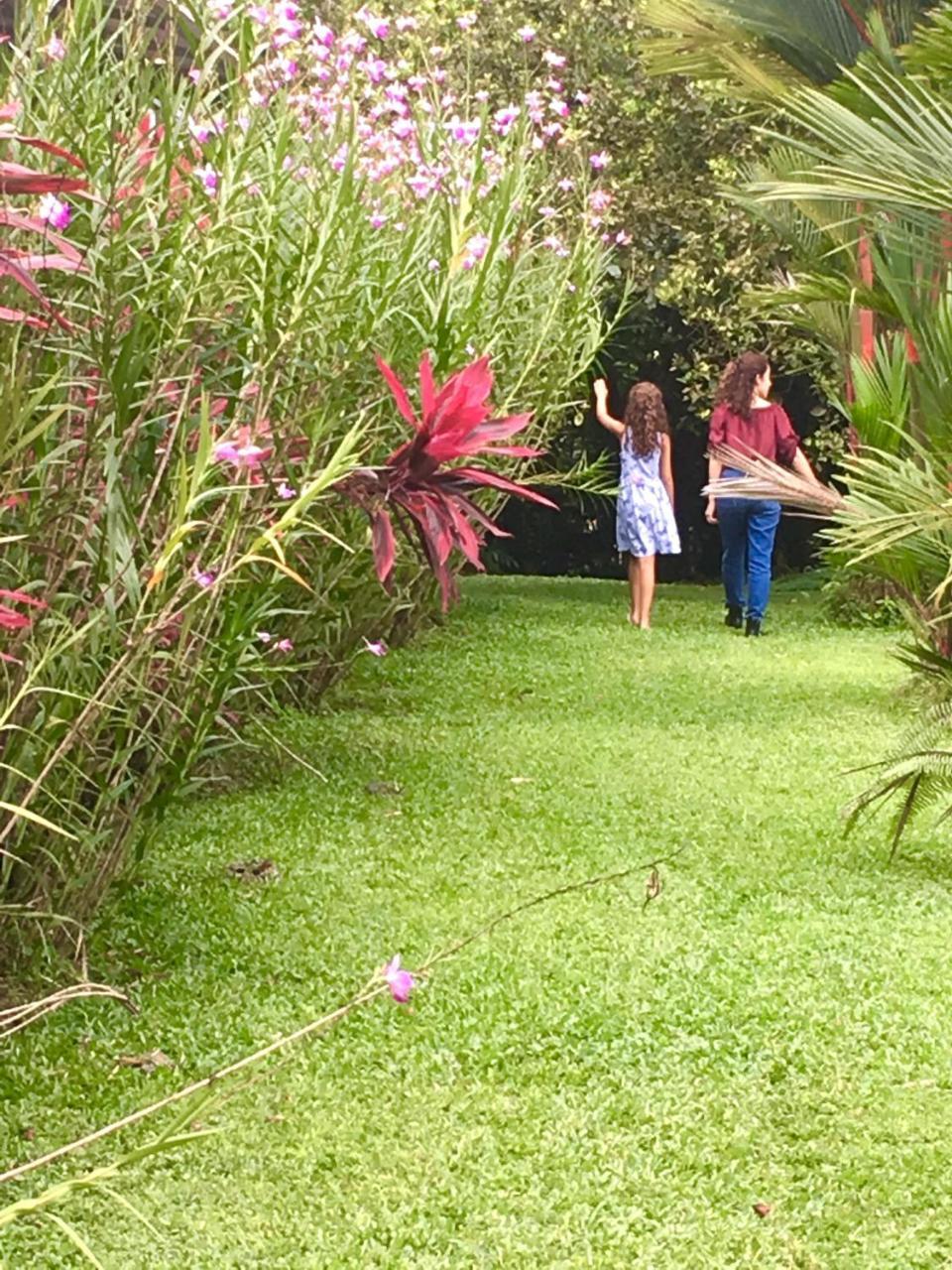Colores Del Arenal