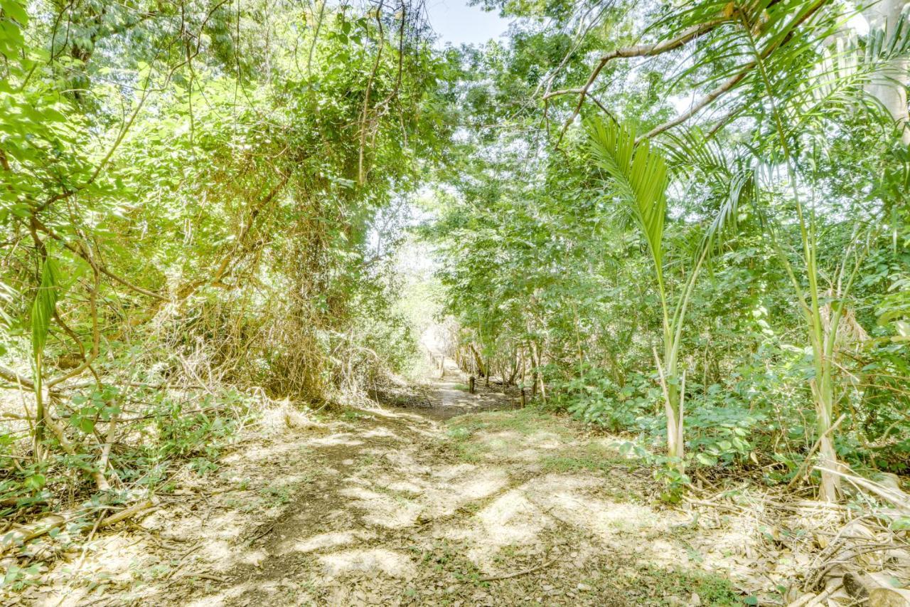 Apartment Playa Penca Mangrove Beach House *