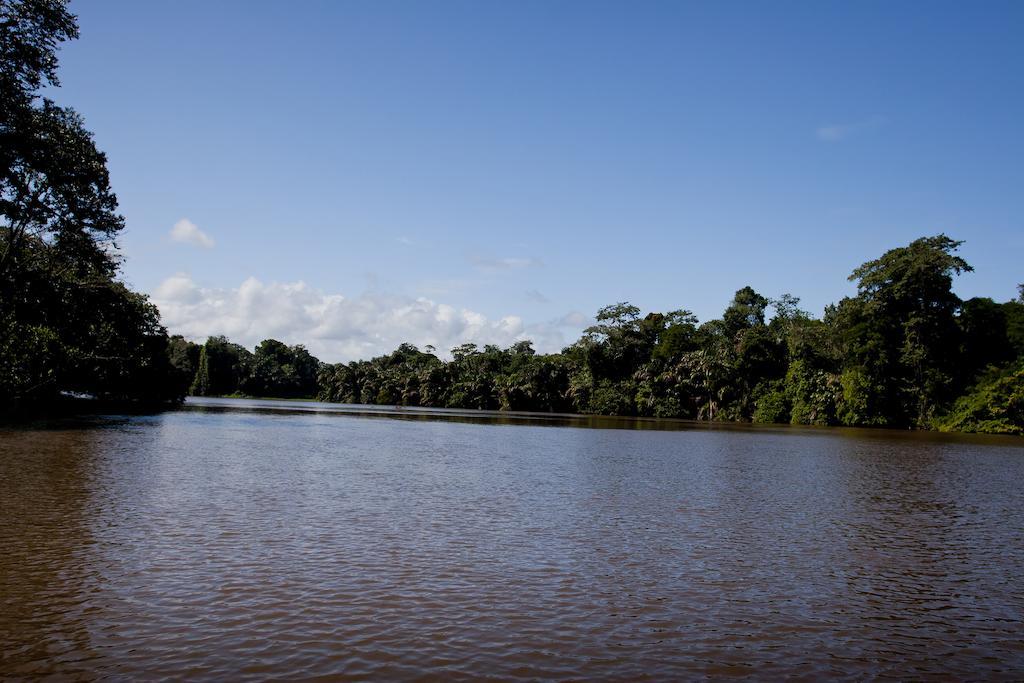 Turtle Tortuguero