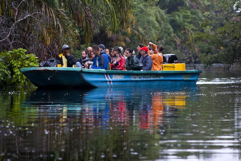 Turtle * Tortuguero