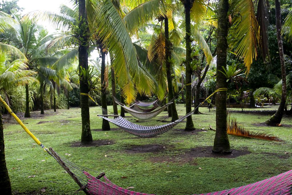 Turtle Lodge Tortuguero