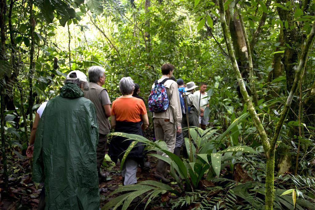 Turtle Tortuguero