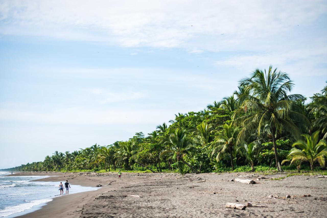 Beachfront 3* Tortuguero