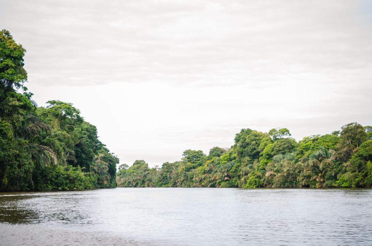 Beachfront Tortuguero