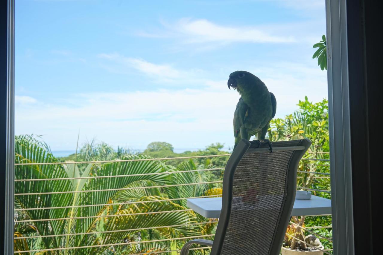 Funky Monkey Hotel 3*
