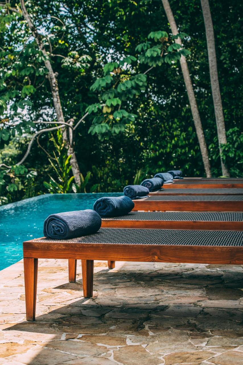 Tiki Rainforest - Adults Only Uvita