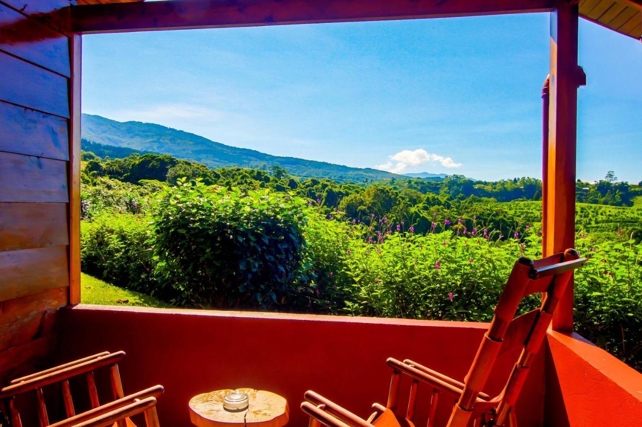 Mango Valley 3* Grecia