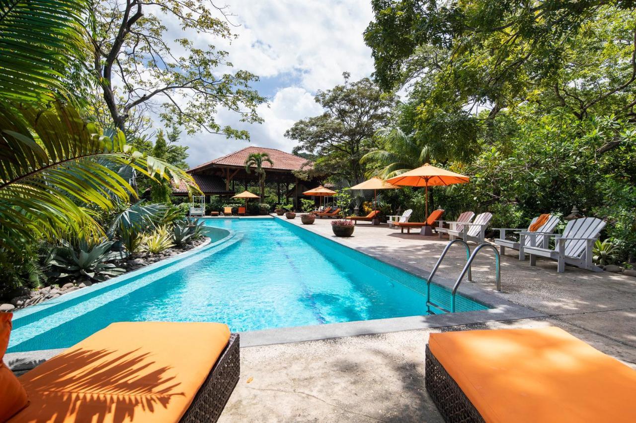 Bodhi Tree Yoga Nosara