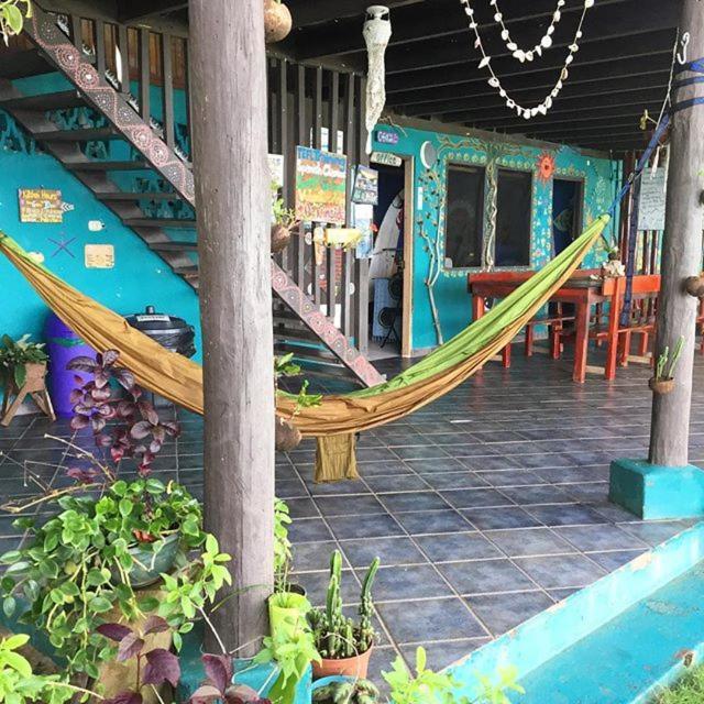 Hostel Luminosa Montezuma