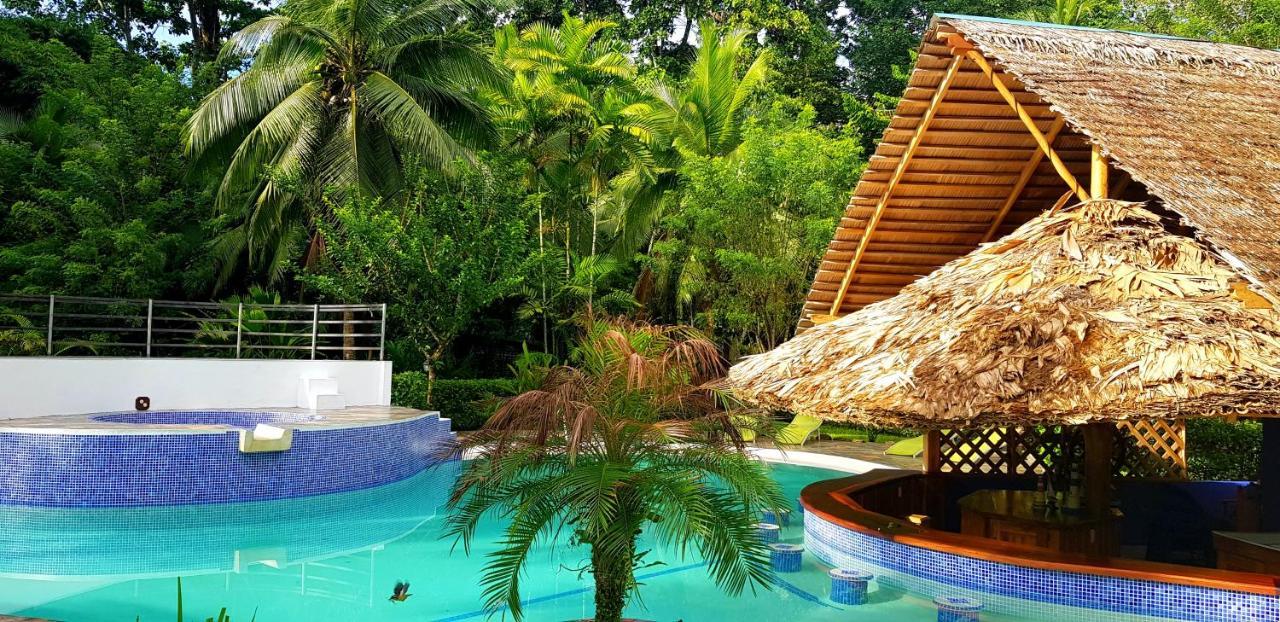 3 Bamboo Eco