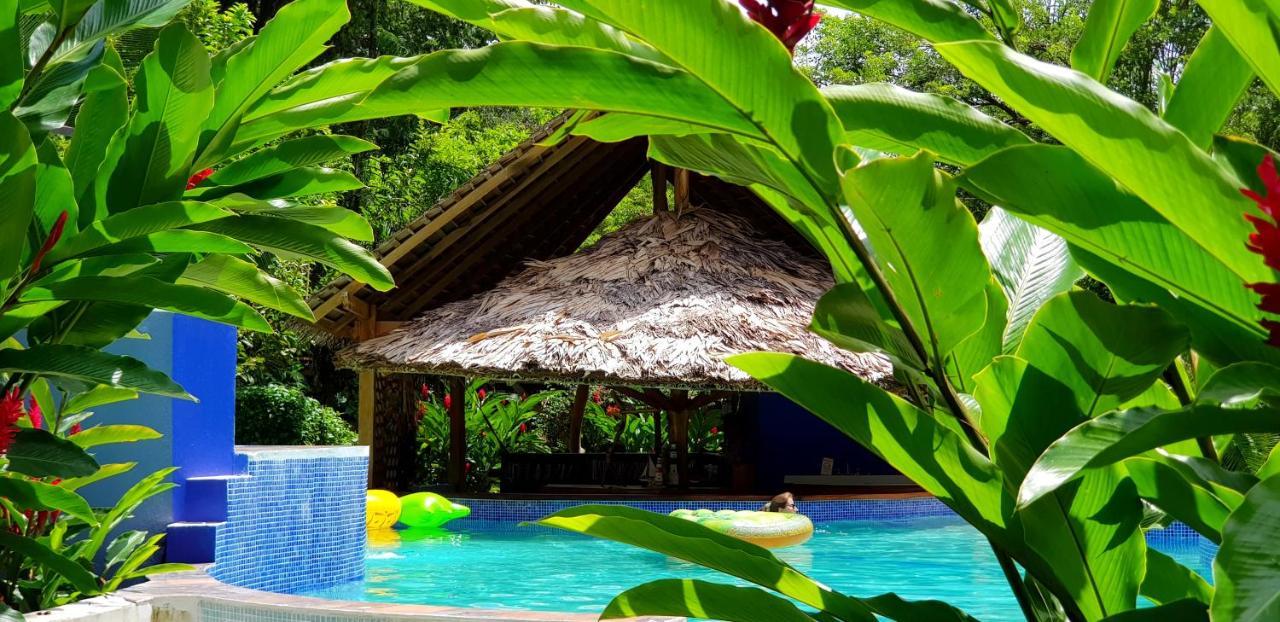 3 Bamboo Eco Bed & Breakfast