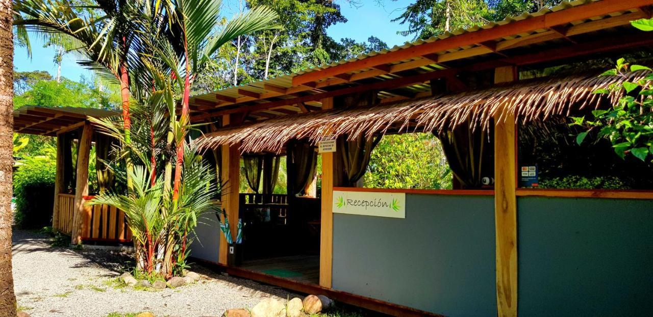 3 Bamboo Eco Bed & Breakfast 3*
