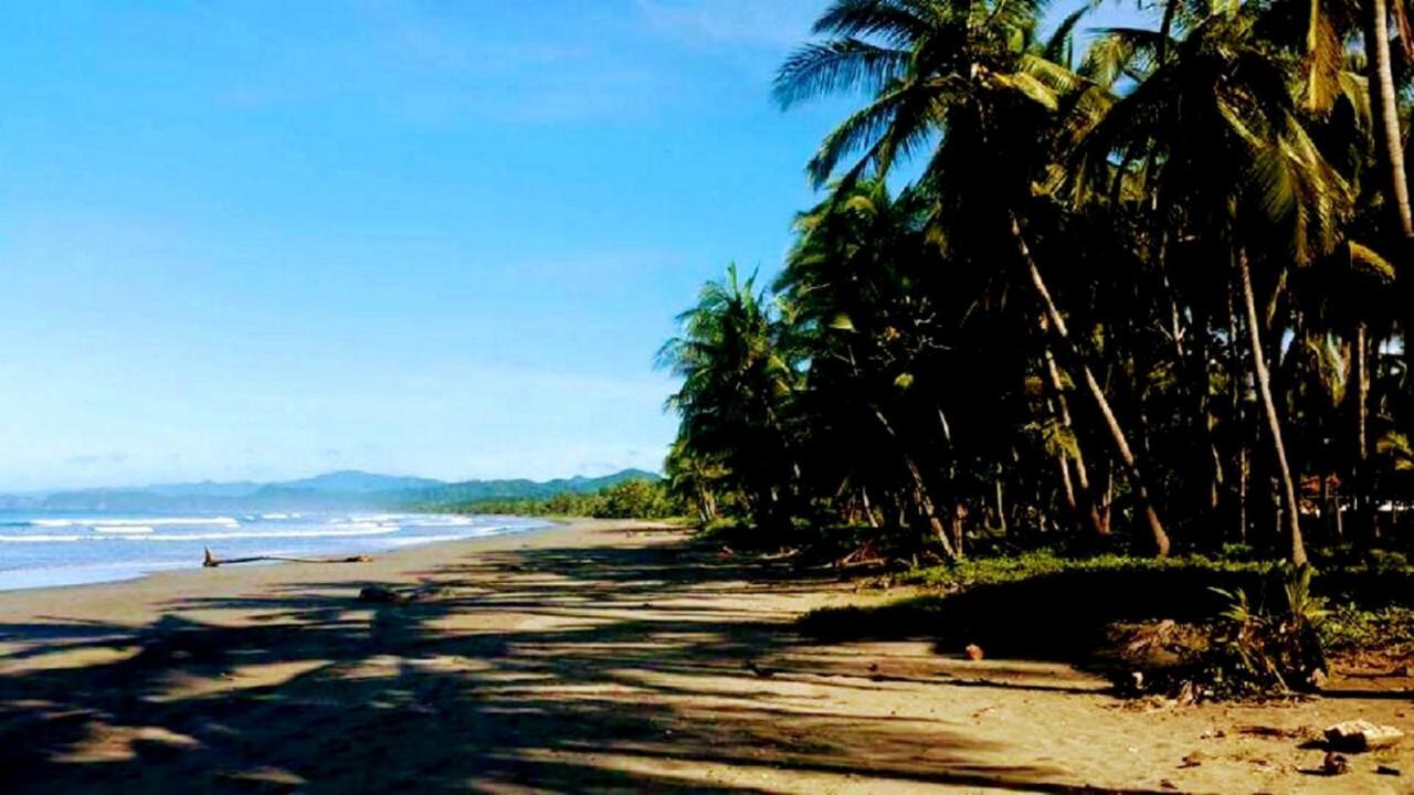 Down By The Sea Beachfront * Puerto Coyote