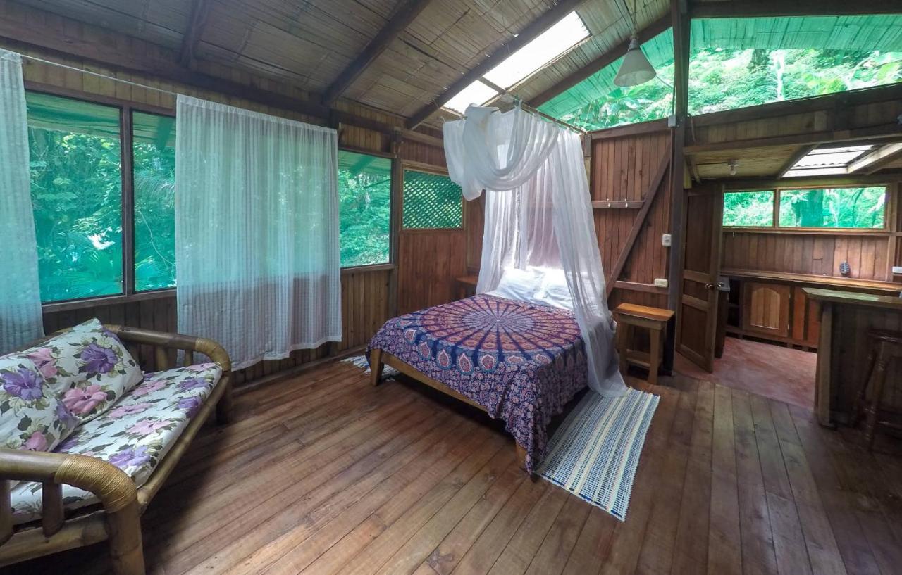 Ocean Forest Ecolodge Retreat Hotel *