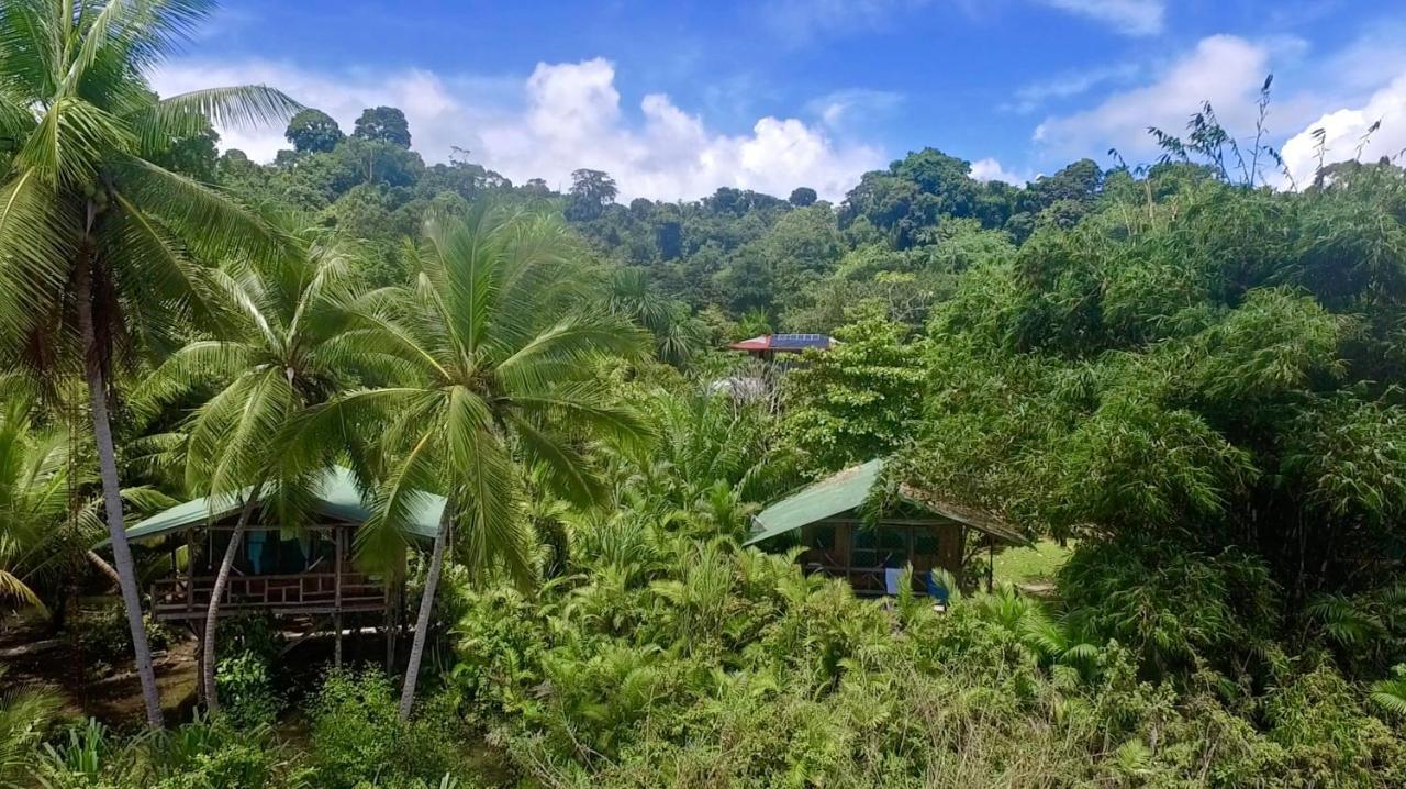 Ocean Forest Ecolodge Retreat Hotel *