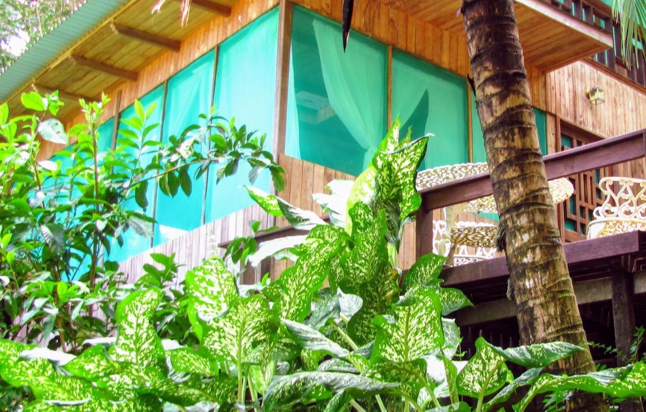 Ocean Forest Ecolodge Retreat Hotel
