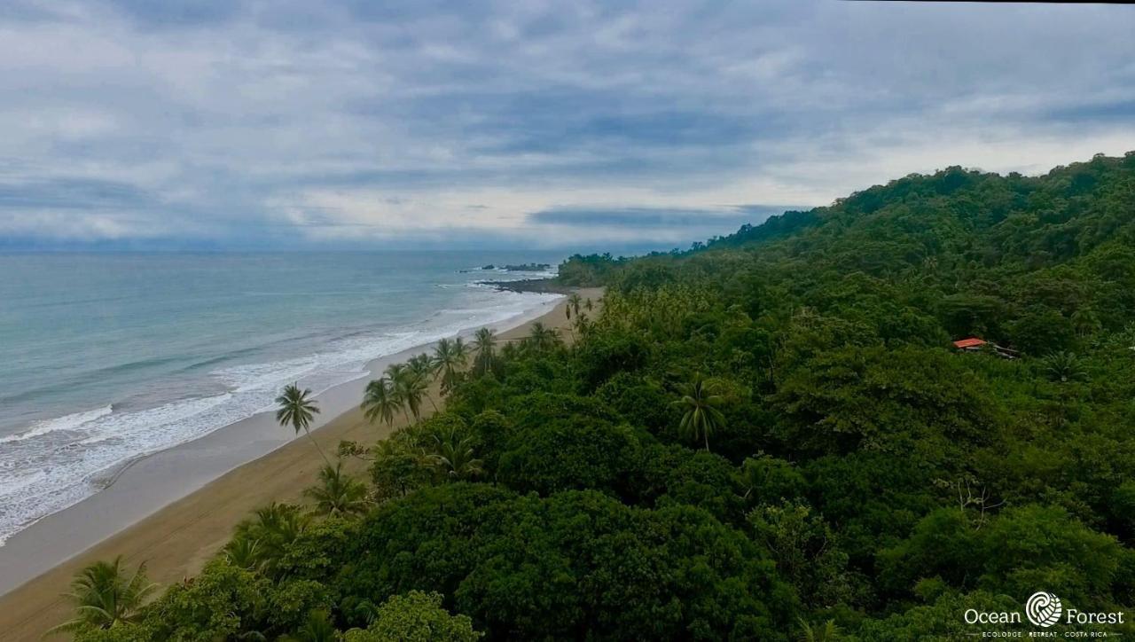 Hotel Ocean Forest Ecolodge Retreat *