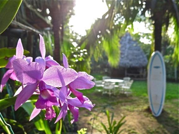 Hotel Ocean Forest Ecolodge Retreat