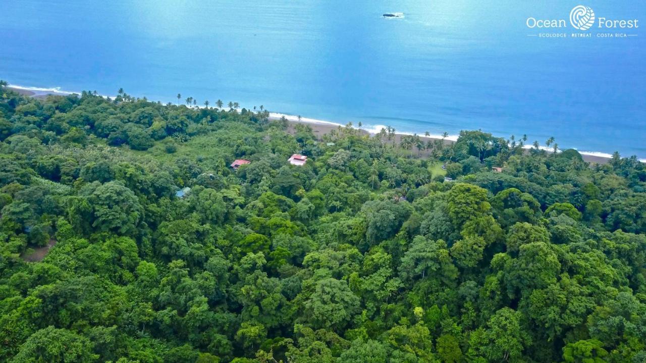 Ocean Forest Ecolodge Retreat *