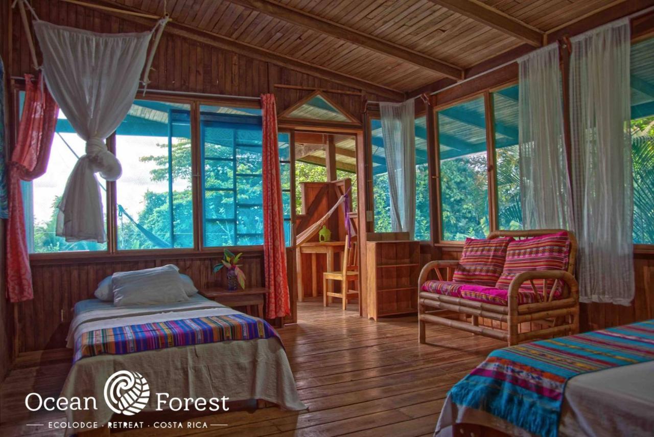 Ocean Forest Ecolodge Retreat