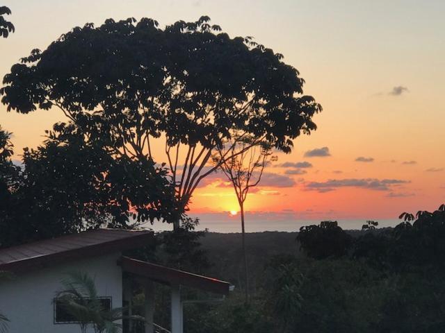 Lambeau Ocean View 1 Villa *