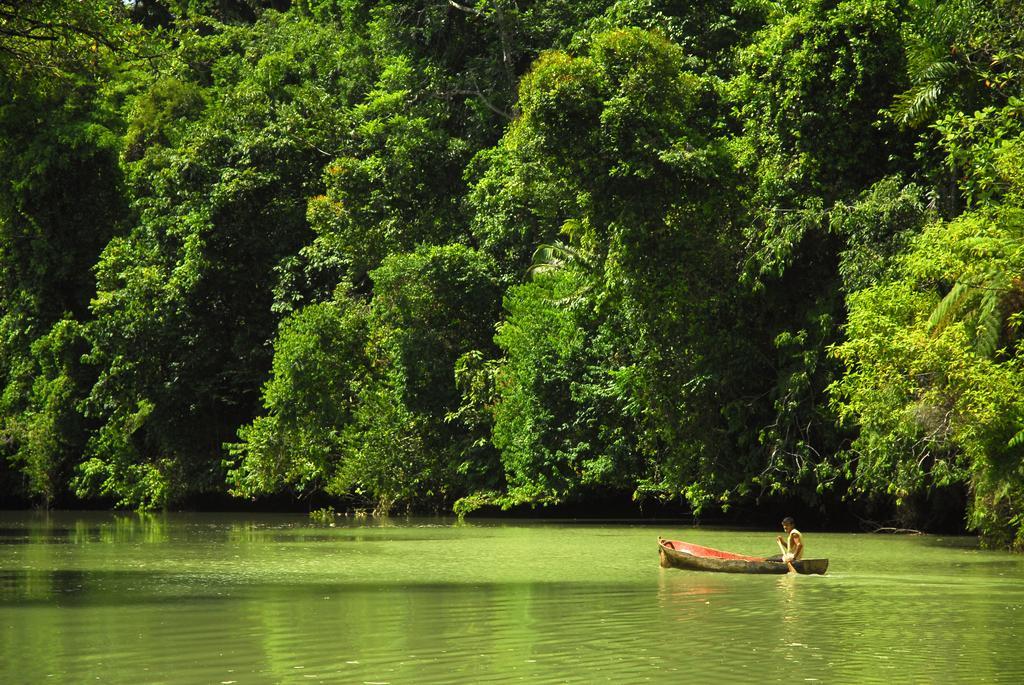 Playa Nicuesa Rainforest Eco Sanctuary Lodge Golfito