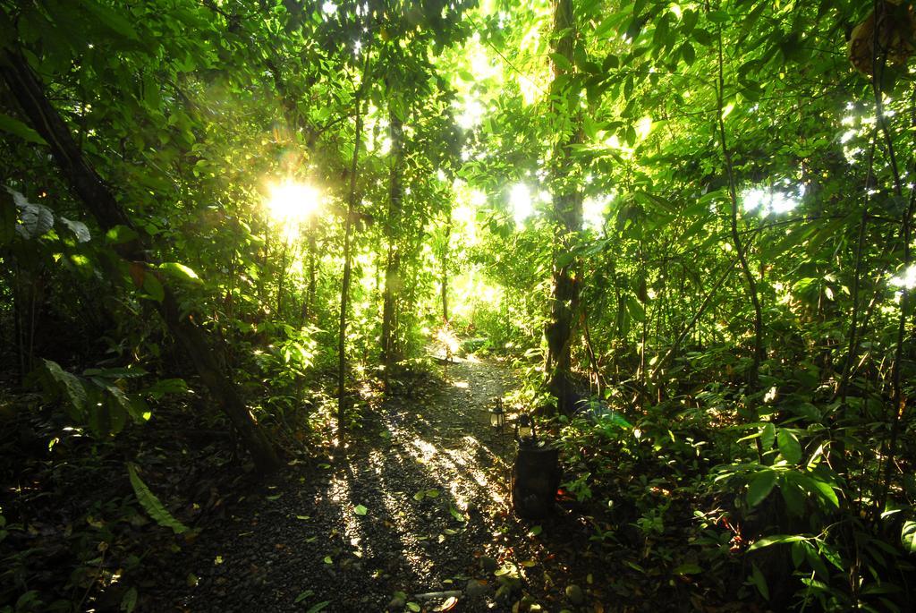 Playa Nicuesa Rainforest Eco Sanctuary * Golfito