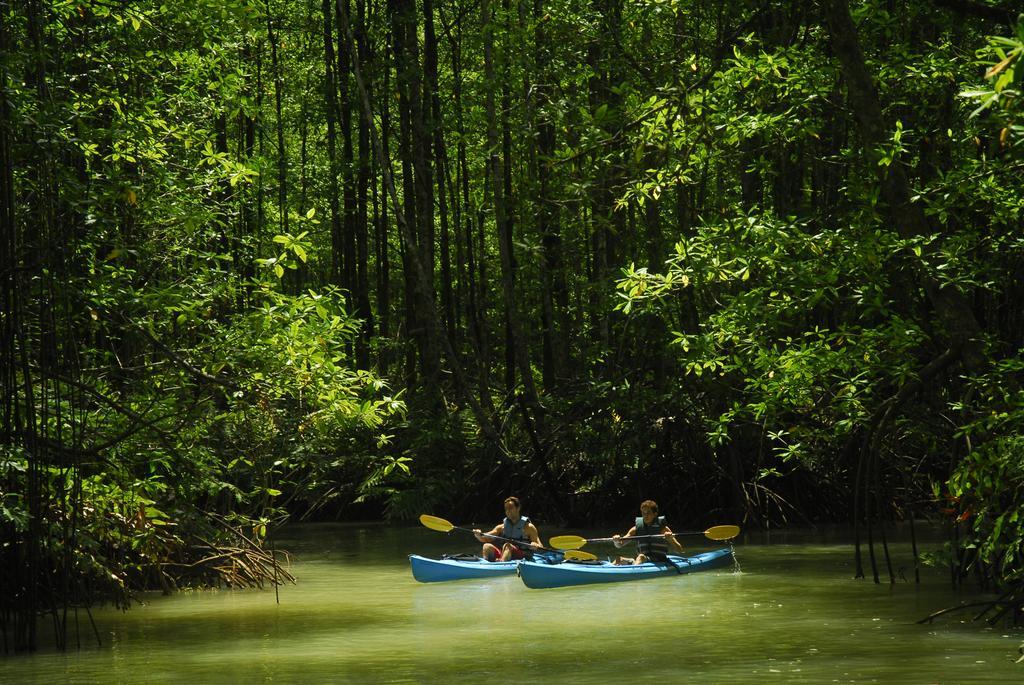 Playa Nicuesa Rainforest Eco Sanctuary Lodge