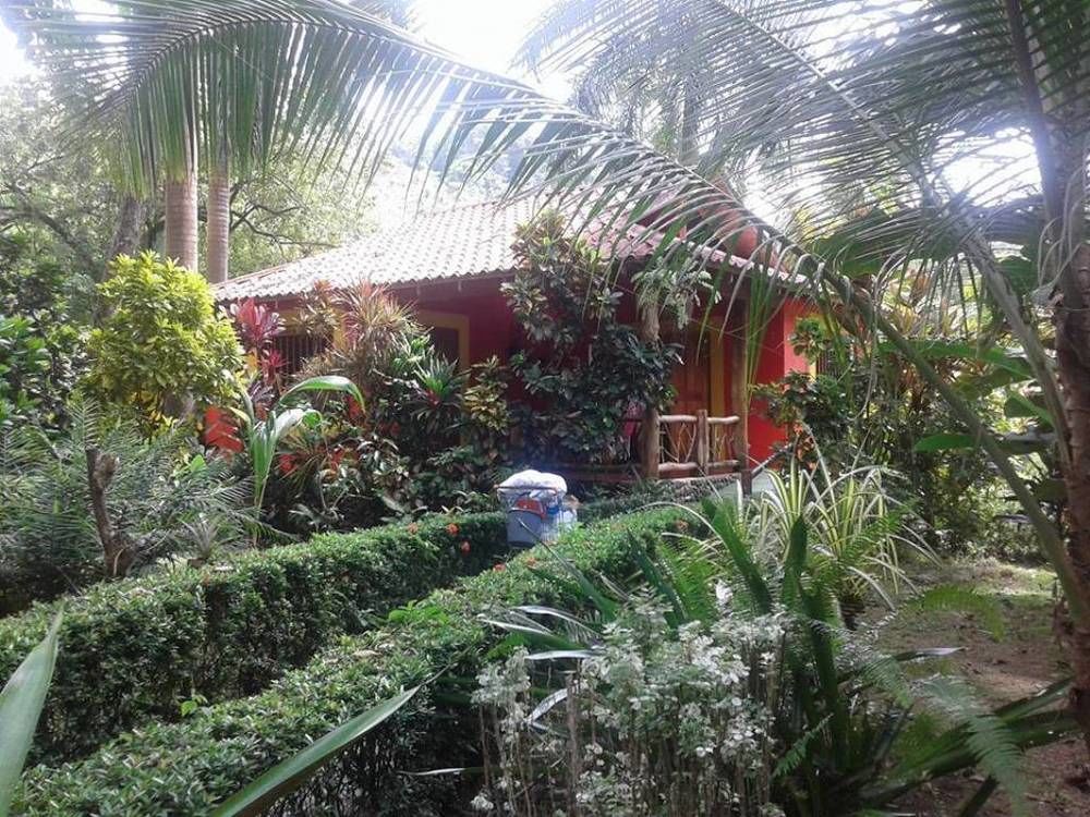La Palapa Portalon