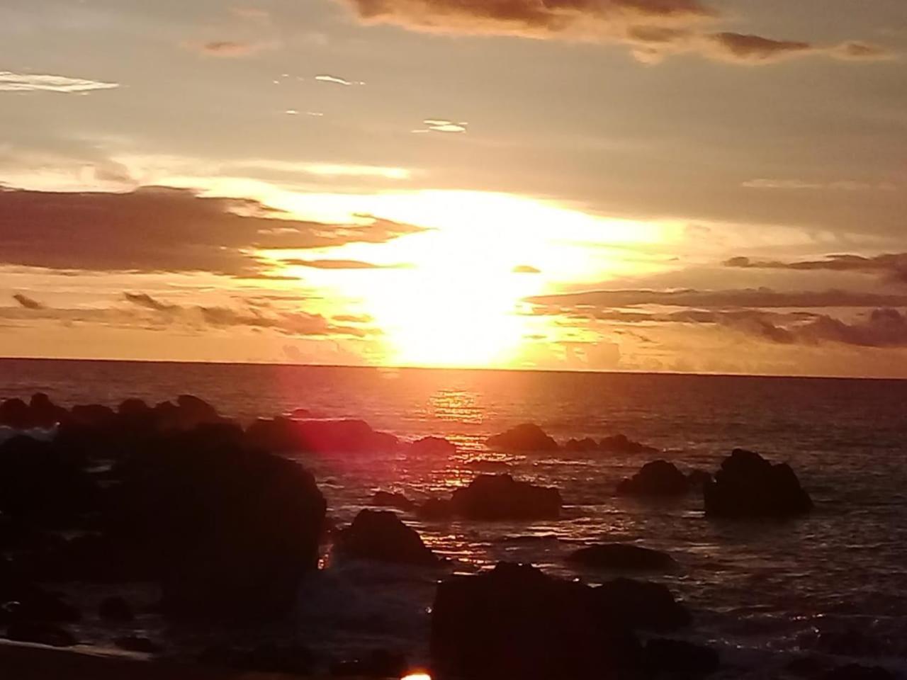 Bed & Breakfast Eco Bosque Los Paniquines Drake Bay