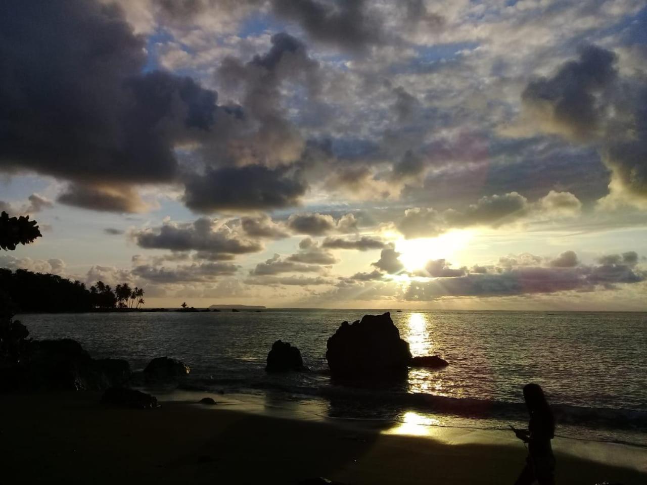Eco Bosque Los Paniquines Drake Bay