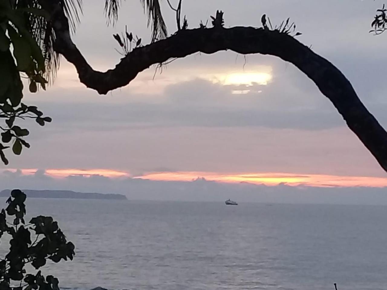 Bed & Breakfast Eco Bosque Los Paniquines Drake Bay