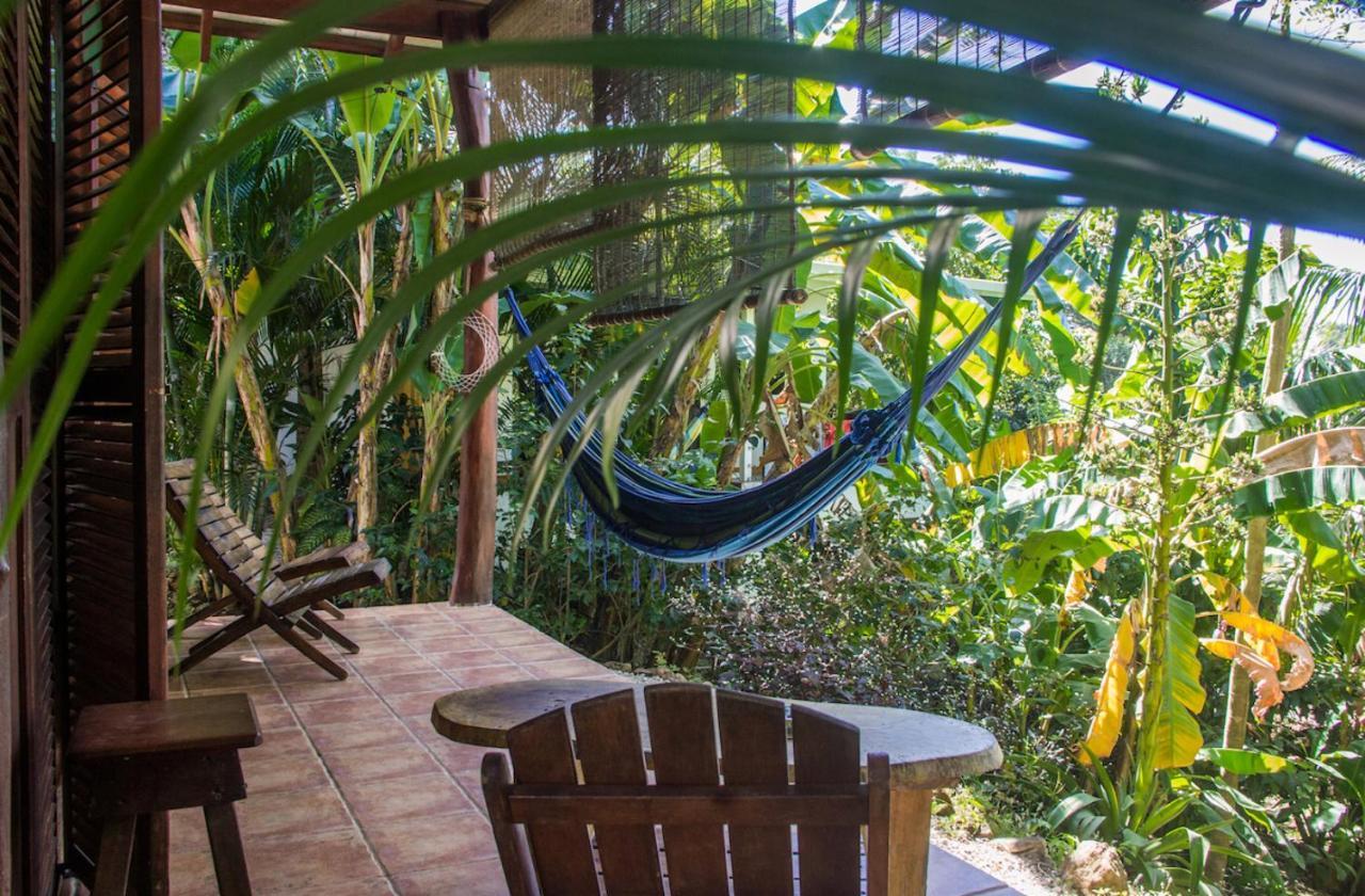 Hotel Funky Monkey