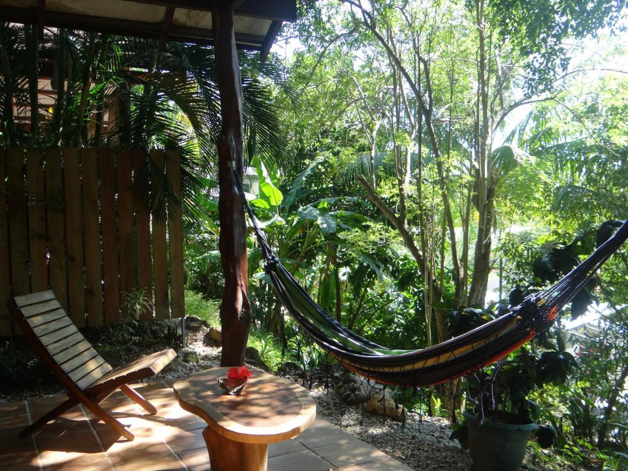 Funky Monkey 3* Playa Santa Teresa (Puntarenas)